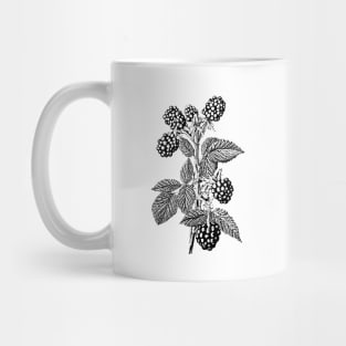 Blackberry Plant Mug